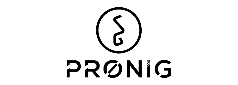 Pronig logo
